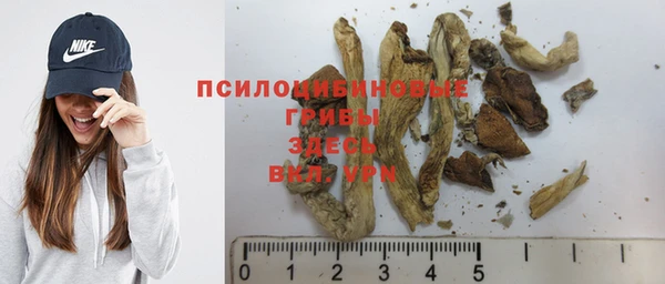 прущий лед Алексин
