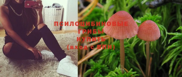 прущий лед Алексин