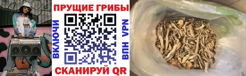 продажа наркотиков  Кирсанов  Псилоцибиновые грибы ЛСД 